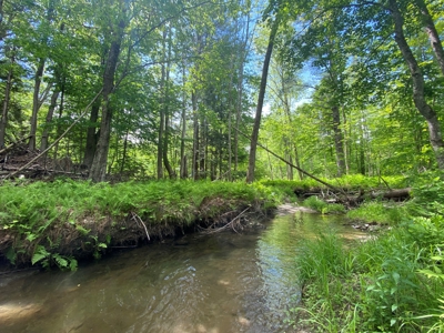 Buildable Land for sale - image 14