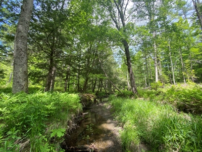 Buildable Land for sale - image 12