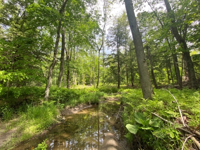 Buildable Land for sale - image 15