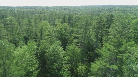 Buildable Land for sale - image 4