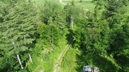 Buildable Land for sale - image 6