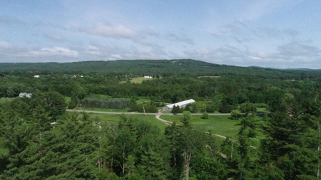 Buildable Land for sale - image 5