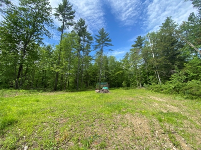Buildable Land for sale - image 10