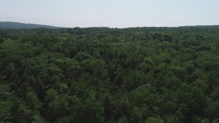 Buildable Land for sale - image 8