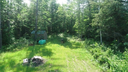 Buildable Land for sale - image 2