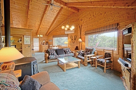 Mountain Home For Sale, Log Hill, Ridgway, Colorado - image 7
