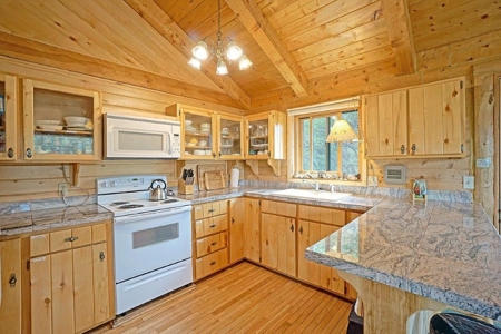 Mountain Home For Sale, Log Hill, Ridgway, Colorado - image 11