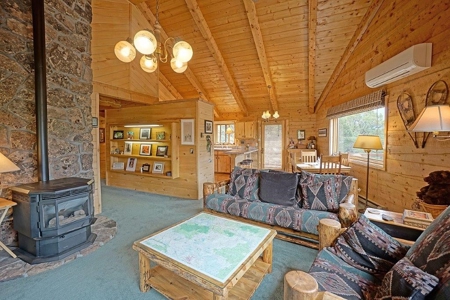 Mountain Home For Sale, Log Hill, Ridgway, Colorado - image 9