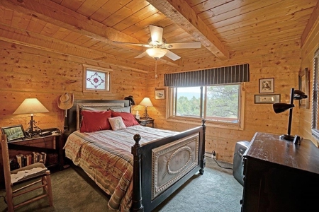 Mountain Home For Sale, Log Hill, Ridgway, Colorado - image 19