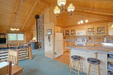 Mountain Home For Sale, Log Hill, Ridgway, Colorado - image 13