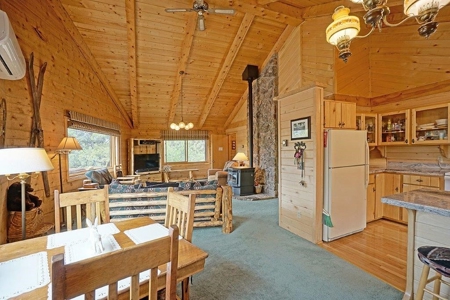 Mountain Home For Sale, Log Hill, Ridgway, Colorado - image 14