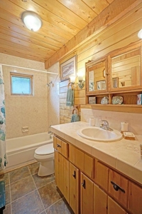 Mountain Home For Sale, Log Hill, Ridgway, Colorado - image 18