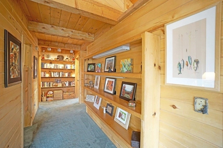 Mountain Home For Sale, Log Hill, Ridgway, Colorado - image 16