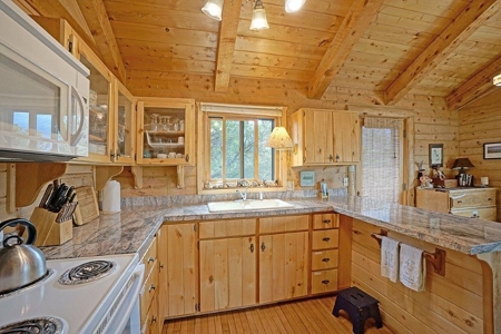 Mountain Home For Sale, Log Hill, Ridgway, Colorado - image 12