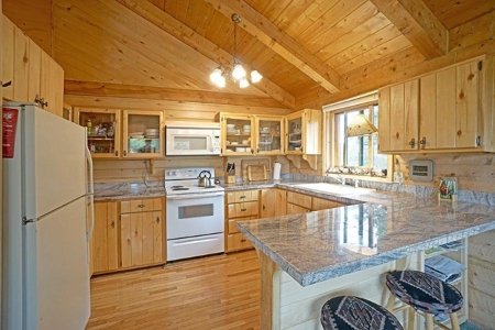Mountain Home For Sale, Log Hill, Ridgway, Colorado - image 10