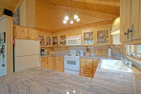 Mountain Home For Sale, Log Hill, Ridgway, Colorado - image 15