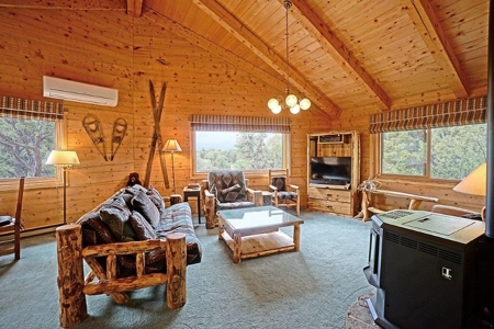 Mountain Home For Sale, Log Hill, Ridgway, Colorado - image 8