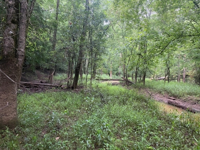 Recreational Timberland near Little Missouri River for Sale! - image 10