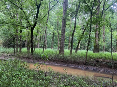 Recreational Timberland near Little Missouri River for Sale! - image 9