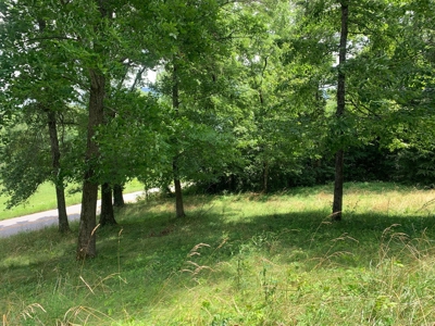 Pending Country Home on 6.87 +/- Acres in Burkesville, KY - image 20