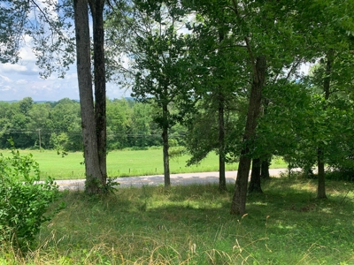 Pending Country Home on 6.87 +/- Acres in Burkesville, KY - image 19