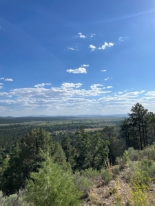 Recreational Mountain Land for Sale near Chama NM, Fishing - image 4