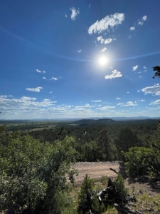Recreational Mountain Land for Sale near Chama NM, Fishing - image 3