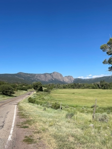 Recreational Mountain Land for Sale near Chama NM, Fishing - image 1