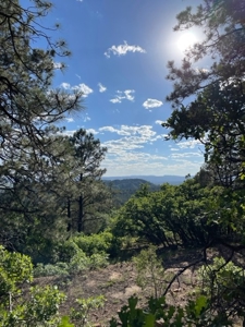 Recreational Mountain Land for Sale near Chama NM, Fishing - image 12