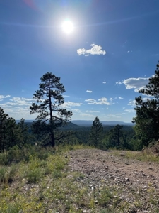 Recreational Mountain Land for Sale near Chama NM, Fishing - image 5