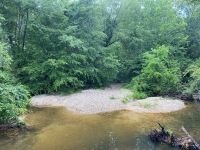 Pine /Hardwood Creek Hunting Land in Nevada Co., AR for Sale - image 8