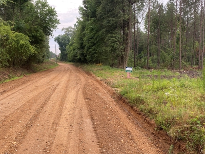 Pine /Hardwood Creek Hunting Land in Nevada Co., AR for Sale - image 6