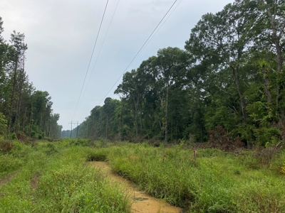 Pine /Hardwood Creek Hunting Land in Nevada Co., AR for Sale - image 7