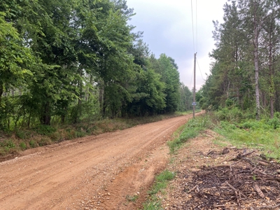 Pine /Hardwood Creek Hunting Land in Nevada Co., AR for Sale - image 4