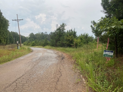 Investment Pine land w/ utilities for sale near Prescott, AR - image 8