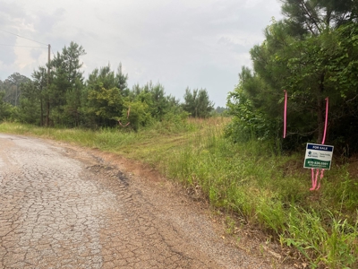 Investment Pine land w/ utilities for sale near Prescott, AR - image 7
