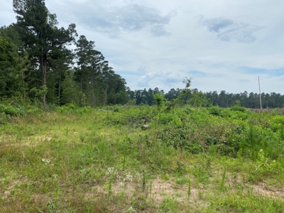 Cleared/Open Land in Nevada County, Arkansas for Sale - image 1