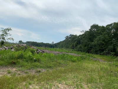 Cleared/Open Land in Nevada County, Arkansas for Sale - image 2