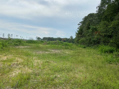 Cleared/Open Land in Nevada County, Arkansas for Sale - image 4