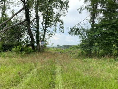 Cleared/Open Land in Nevada County, Arkansas for Sale - image 7