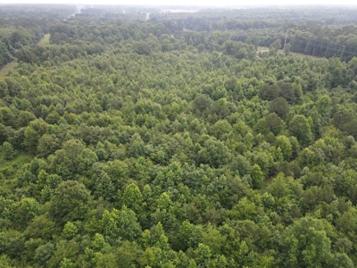 Country Home on Acreage in White Hall, Arkansas - image 39