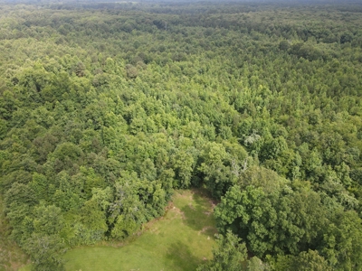 Country Home on Acreage in White Hall, Arkansas - image 30
