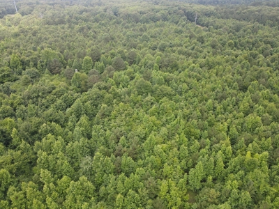 Country Home on Acreage in White Hall, Arkansas - image 33