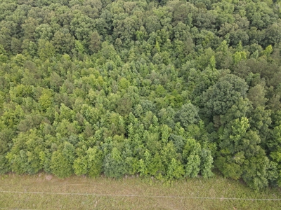 Country Home on Acreage in White Hall, Arkansas - image 34