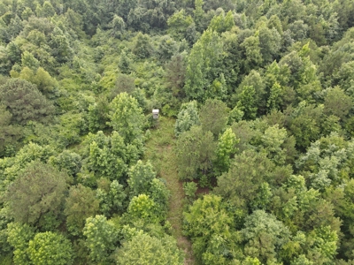Country Home on Acreage in White Hall, Arkansas - image 40