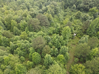 Country Home on Acreage in White Hall, Arkansas - image 41