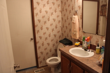 Country Home on Acreage in White Hall, Arkansas - image 14