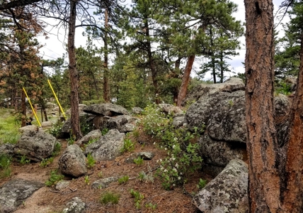 Walk to Dowdy Lake! - image 35