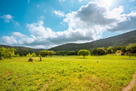 Sabinal Riverfront Ranchette!  Lost Maples 10.03 Acres - image 3