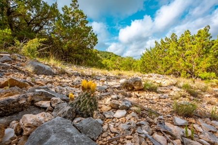 Sabinal Riverfront Ranchette!  Lost Maples 10.03 Acres - image 8